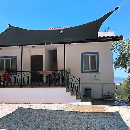 Apartamento Tyana Home-1 *